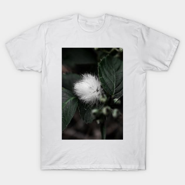 Cotton. T-Shirt by shesjustcurious